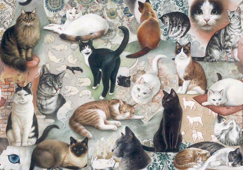 Bomo Art Paper - Wrapping Paper - The Nine Lives of Cats - Root & Company