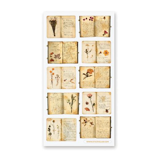 Botanical Studies - Root & Company