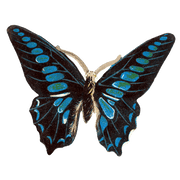 Butterfly Box - Everyday Sticker Box - Root & Company
