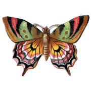 Butterfly Box - Everyday Sticker Box - Root & Company