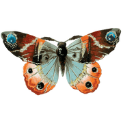 Butterfly Box - Everyday Sticker Box - Root & Company