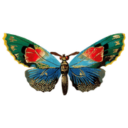 Butterfly Box - Everyday Sticker Box - Root & Company