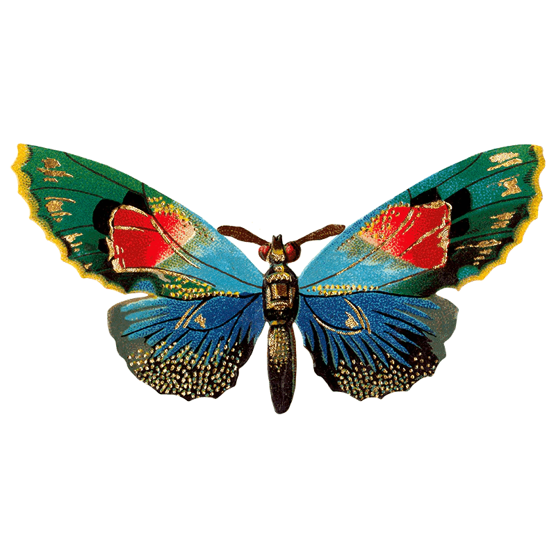 Butterfly Box - Everyday Sticker Box - Root & Company