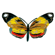Butterfly Box - Everyday Sticker Box - Root & Company