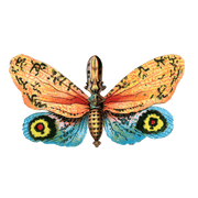 Butterfly Box - Everyday Sticker Box - Root & Company