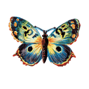 Butterfly Box - Everyday Sticker Box - Root & Company