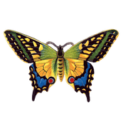 Butterfly Box - Everyday Sticker Box - Root & Company
