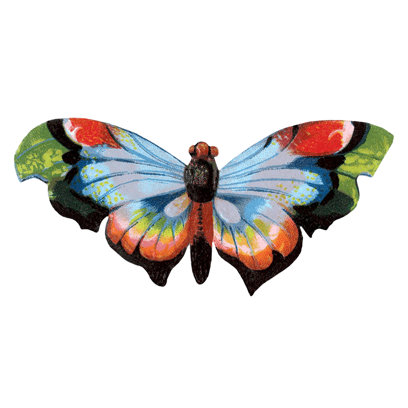 Butterfly Box - Everyday Sticker Box - Root & Company
