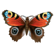 Butterfly Box - Everyday Sticker Box - Root & Company