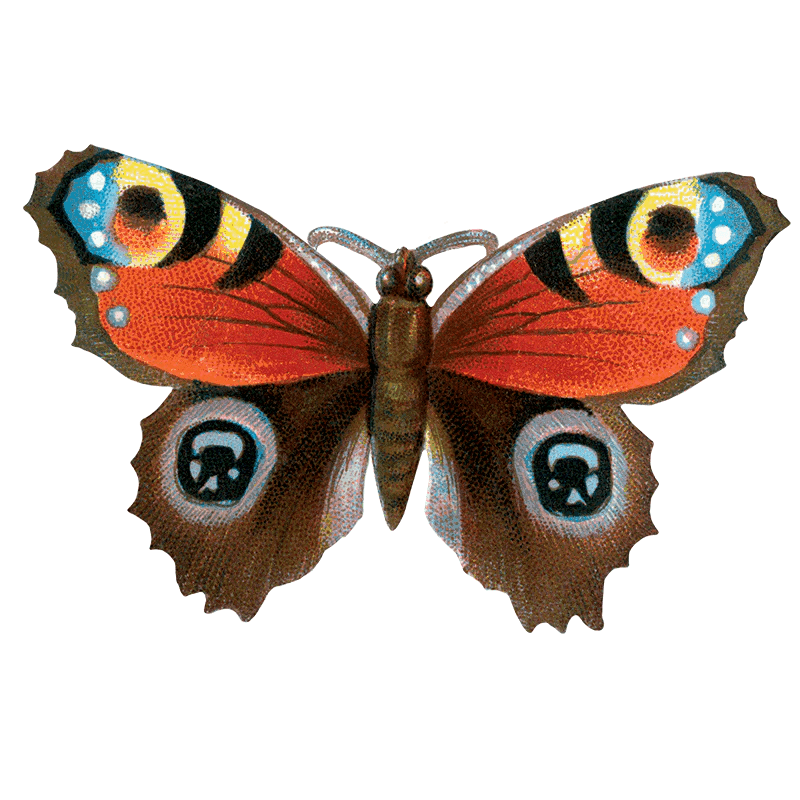 Butterfly Box - Everyday Sticker Box - Root & Company