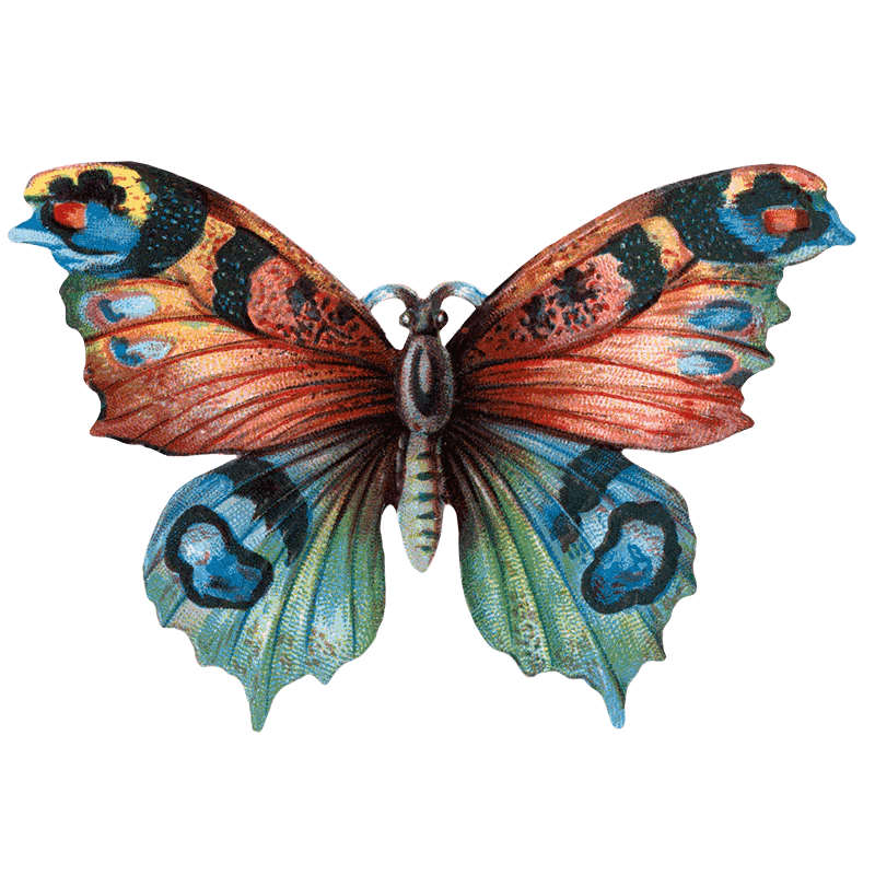 Butterfly Box - Everyday Sticker Box - Root & Company