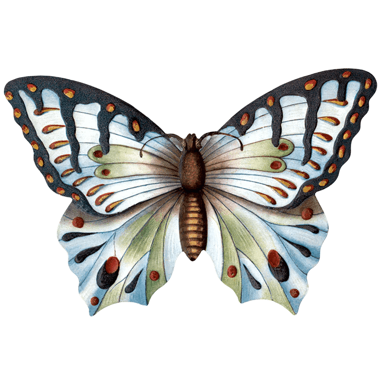 Butterfly Box - Everyday Sticker Box - Root & Company