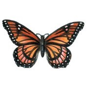 Butterfly Box - Everyday Sticker Box - Root & Company