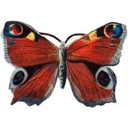 Butterfly Box - Everyday Sticker Box - Root & Company