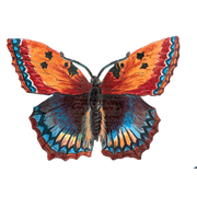 Butterfly Box - Everyday Sticker Box - Root & Company