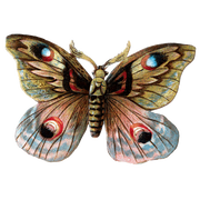 Butterfly Box - Everyday Sticker Box - Root & Company