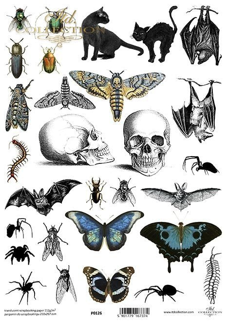 ITD Collection - Nocturnal Curiosities - Translucent Scrapbooking Paper