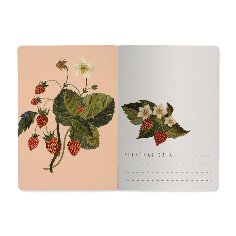 BV by Bruno Visconti - Wild Strawberry