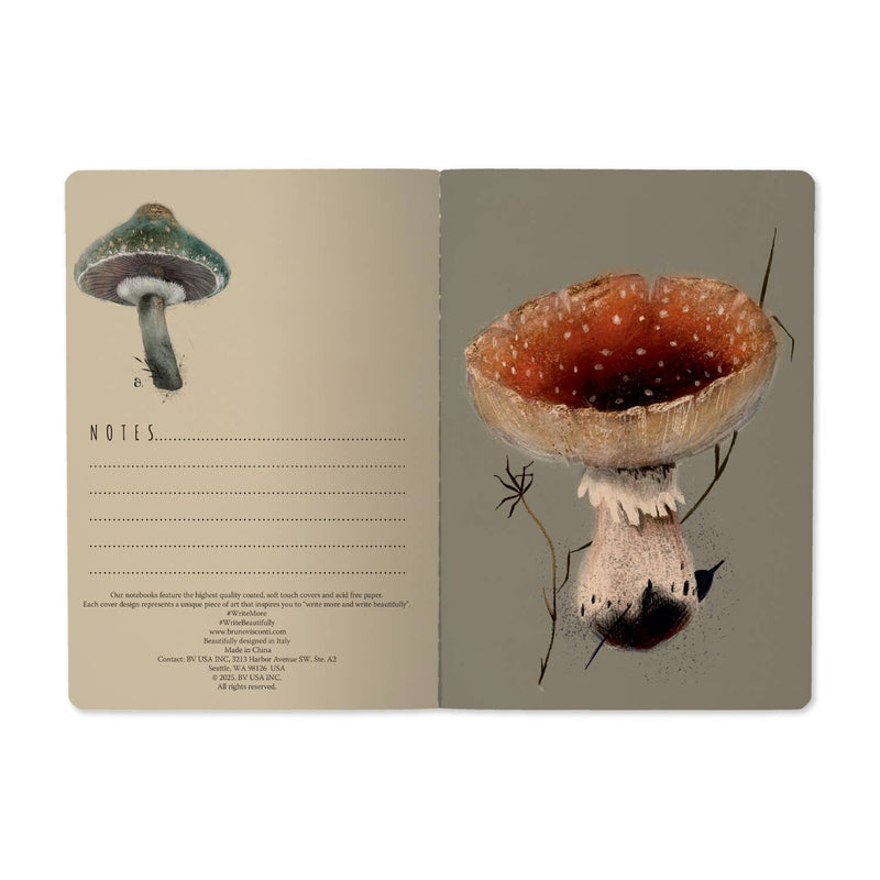 BV by Bruno Visconti - Gourmet Mushrooms