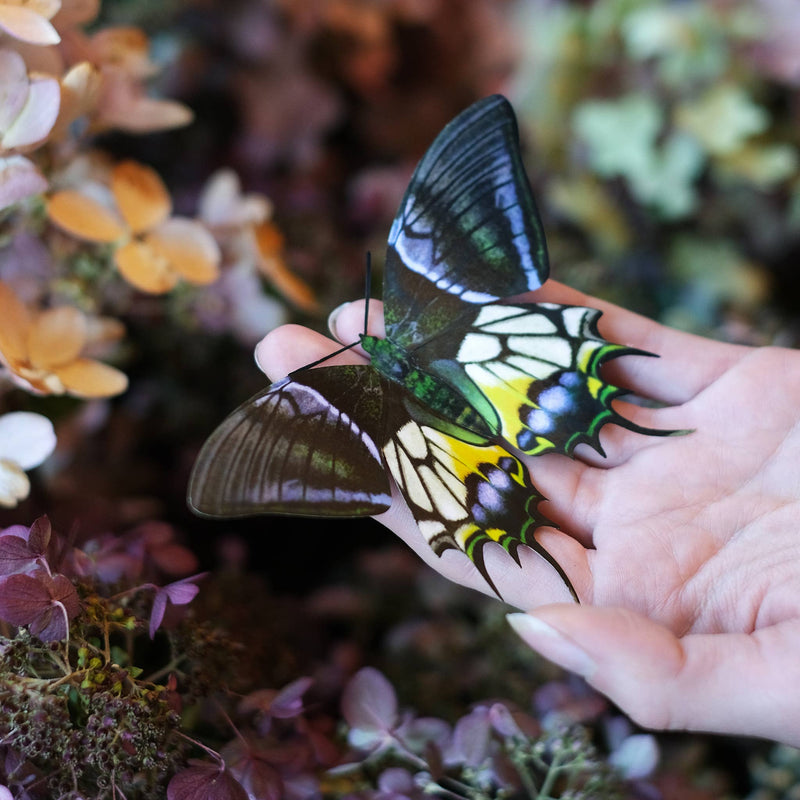 Moth and Myth - Malachite Butterfly 3 piece Set