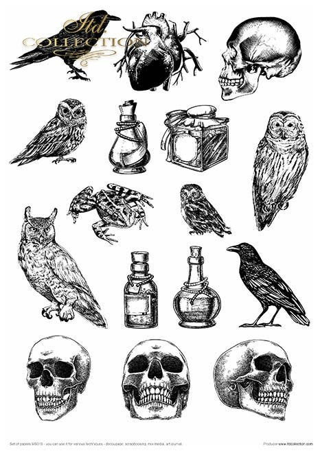 ITD Collection - An Undiscovered Magical World Creative Set