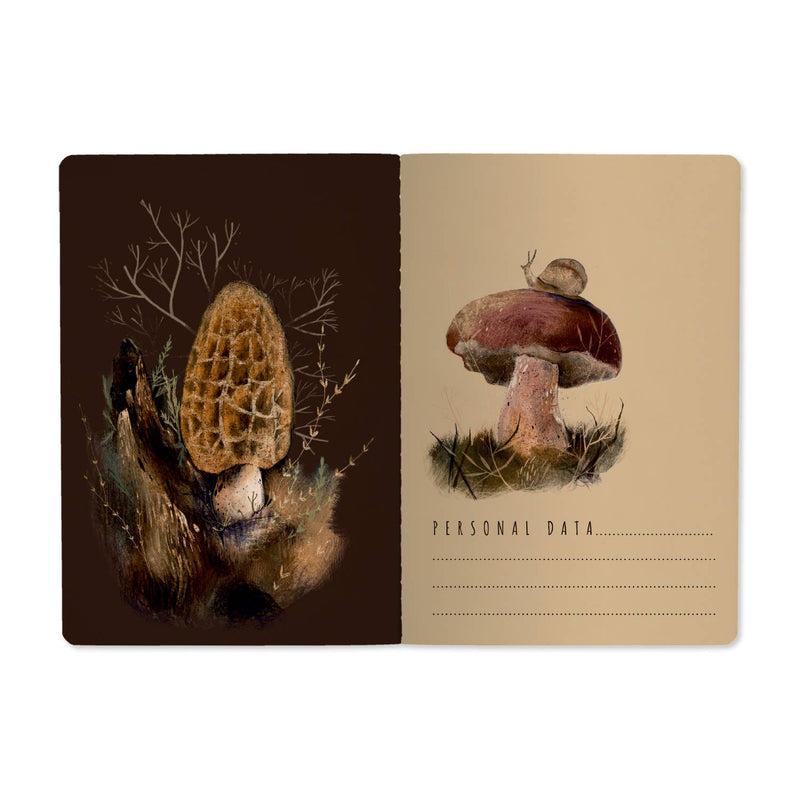 BV by Bruno Visconti - Mushroom Dream
