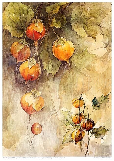 ITD Collection - Autumn Love Story Creative Set