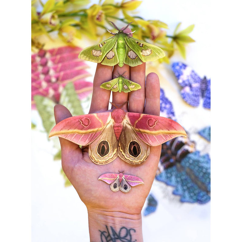 Moth and Myth - Limelight Moth Set