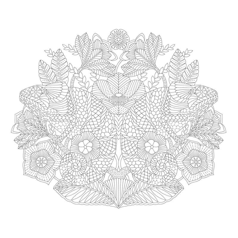 Millie Marotta - Animal Adventures Coloring Book