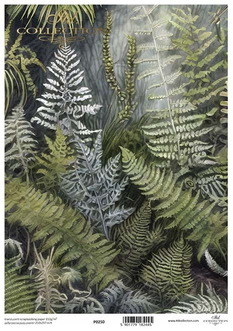 ITD Collection - Forest Ferns - Translucent Scrapbooking Paper