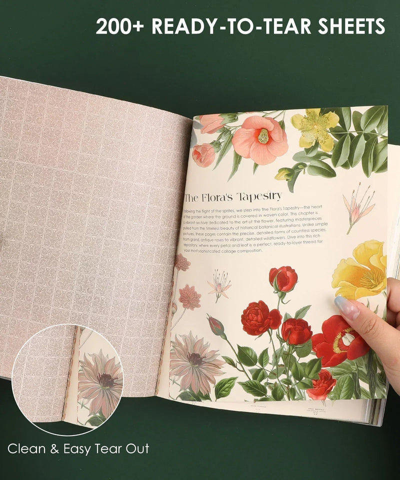 Grabie - The Botanical Muse Collage Activity Book
