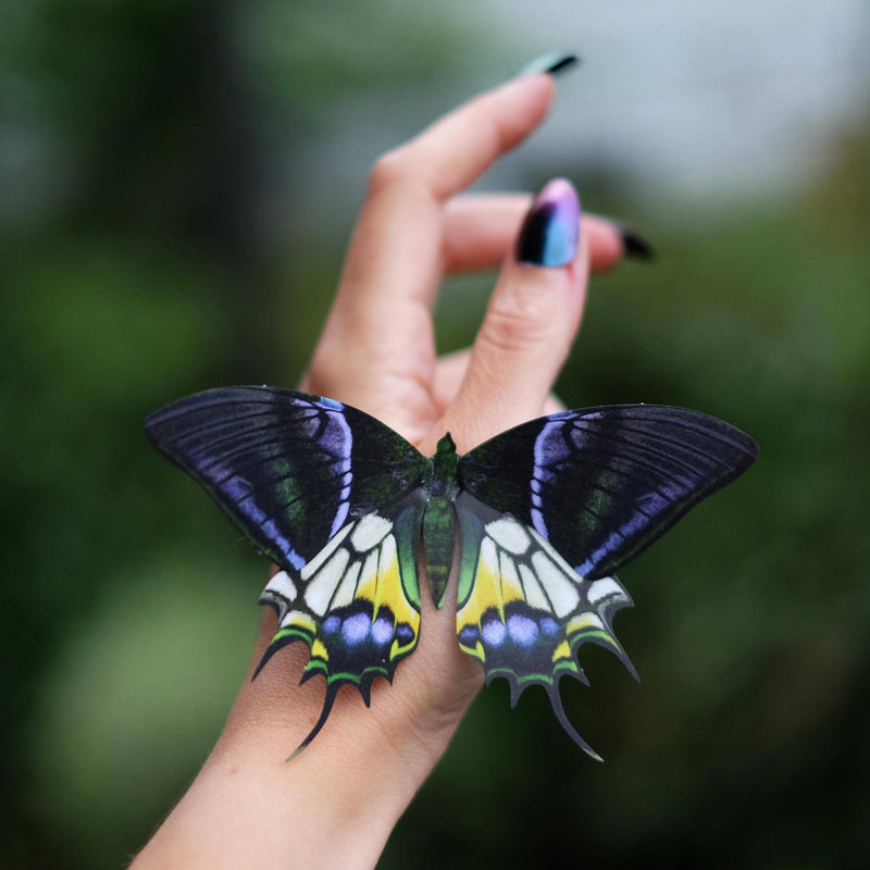 Moth and Myth - Malachite Butterfly 3 piece Set