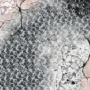 Ciao Bella Cygne Noir Paper Pad 12x12 12/Pkg - Root & Company