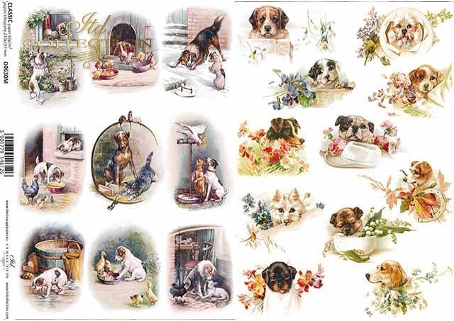 ITD Collection - Dogs - Classic Paper