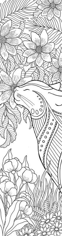 Rockpool Publishing - Cats Coloring Bookmarks
