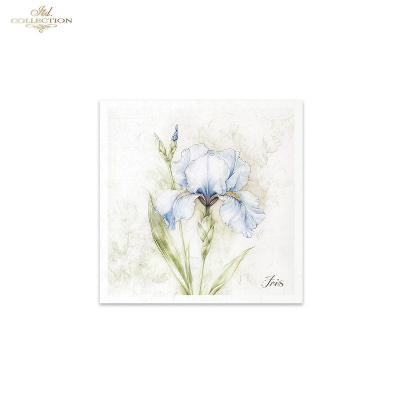 ITD Collection - Rice Paper Set Mini - Floral Shabby Chic - RSM173