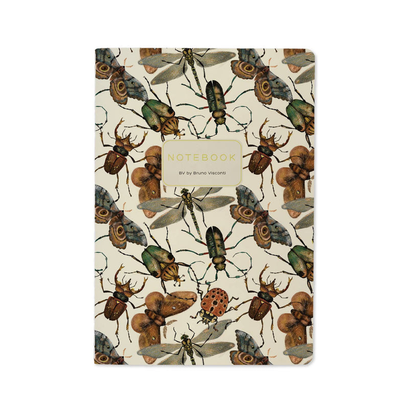 BV by Bruno Visconti - Entomology