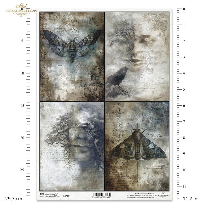 ITD Collection - Light & Shadow - Rice Paper - R2719