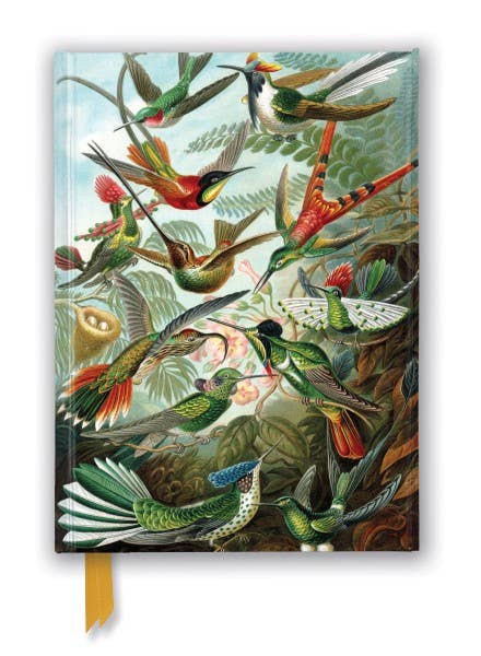 Ernst Haeckel - Hummingbirds Journal