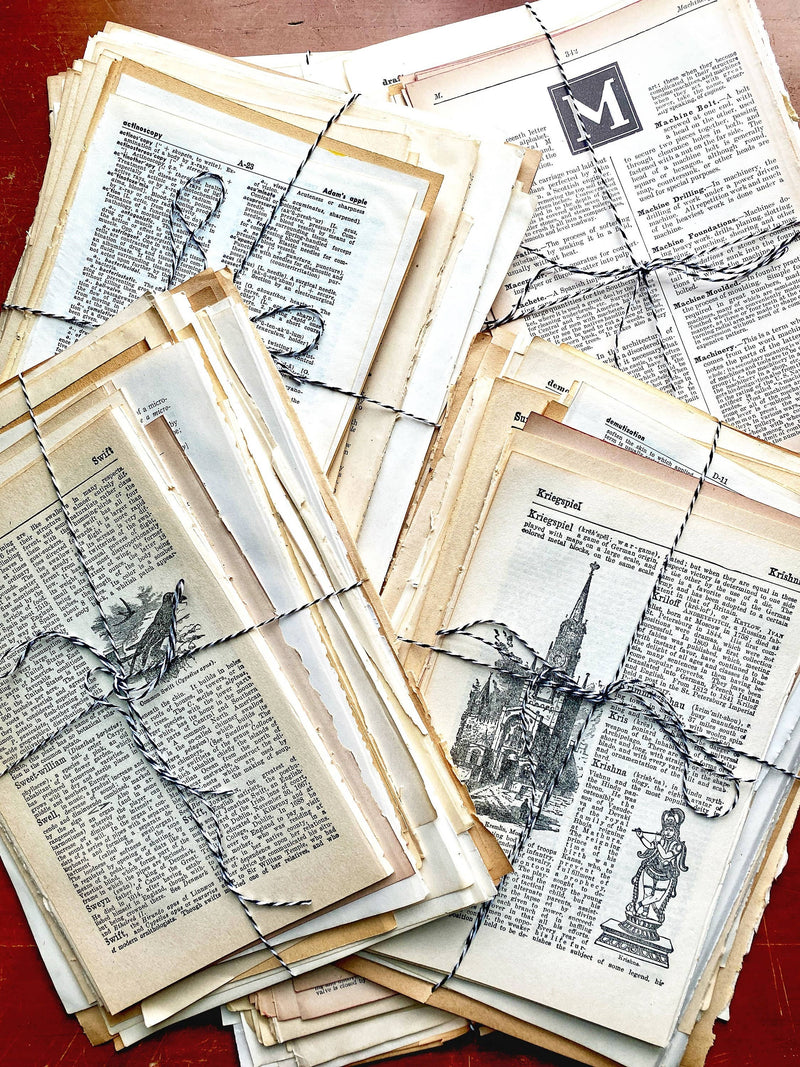 Moonbeam Mercantile - Vintage Dictionary & Encyclopedia Page Bundle