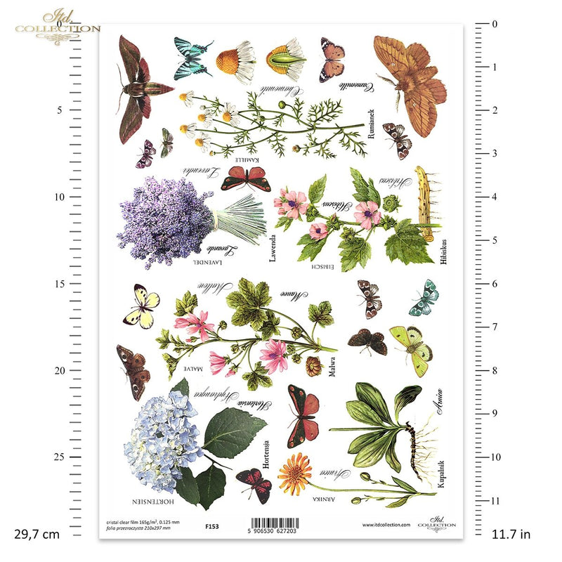 ITD Collection - Clear Film - F153