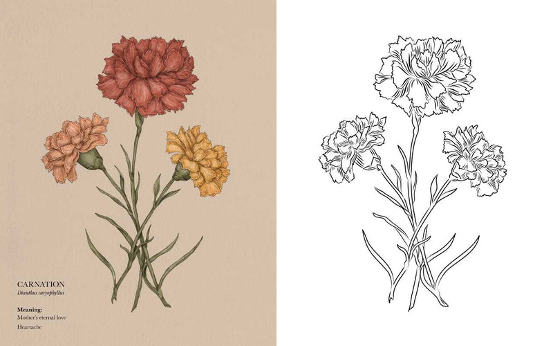 Jessica Roux - Floriography Coloring Book