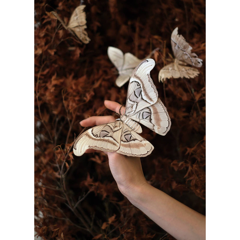 Moth and Myth - Ghost Atlas Moth Paper Replica