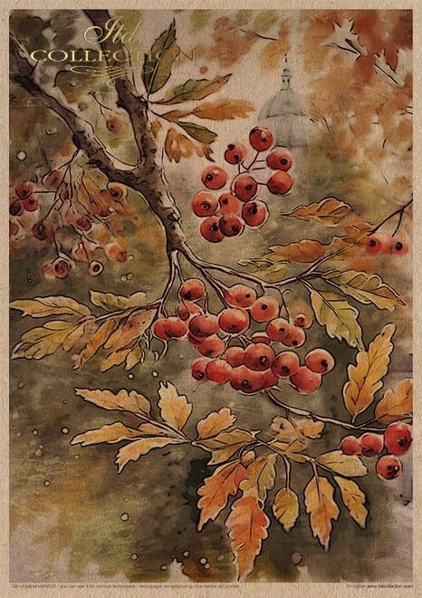 ITD Collection - Autumn Love Story Creative Set