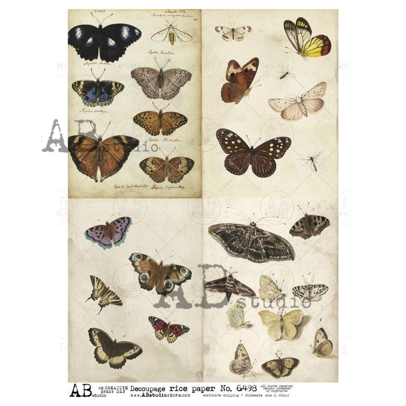 ABstudio - Rice Paper - No. 6498