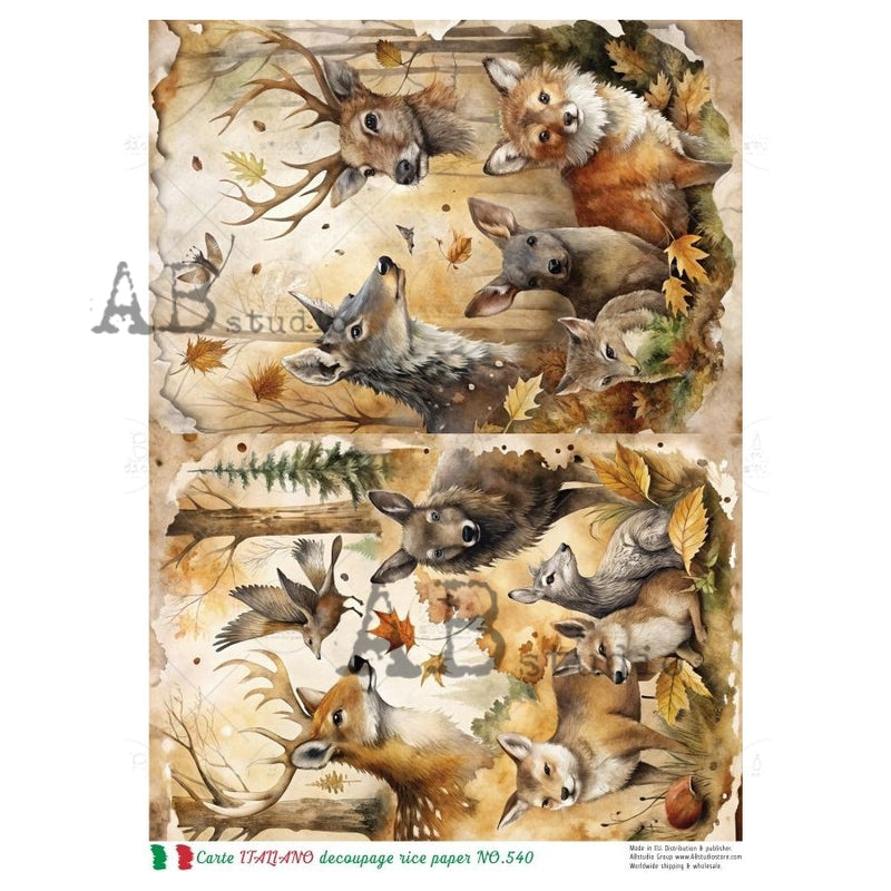 ABstudio - Rice Paper - Carte Italiano NO.540