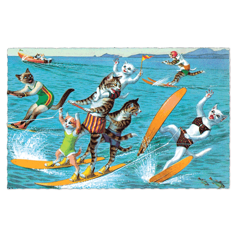 Delightfully Dressed Cats Postcard Box - Everyday Boxed Postcards - Root & Company