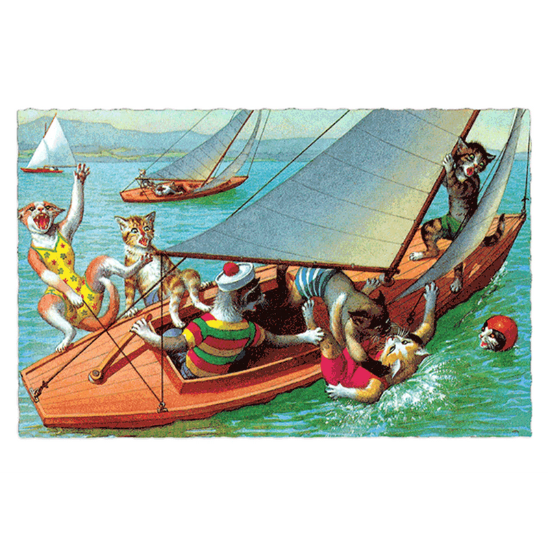 Delightfully Dressed Cats Postcard Box - Everyday Boxed Postcards - Root & Company