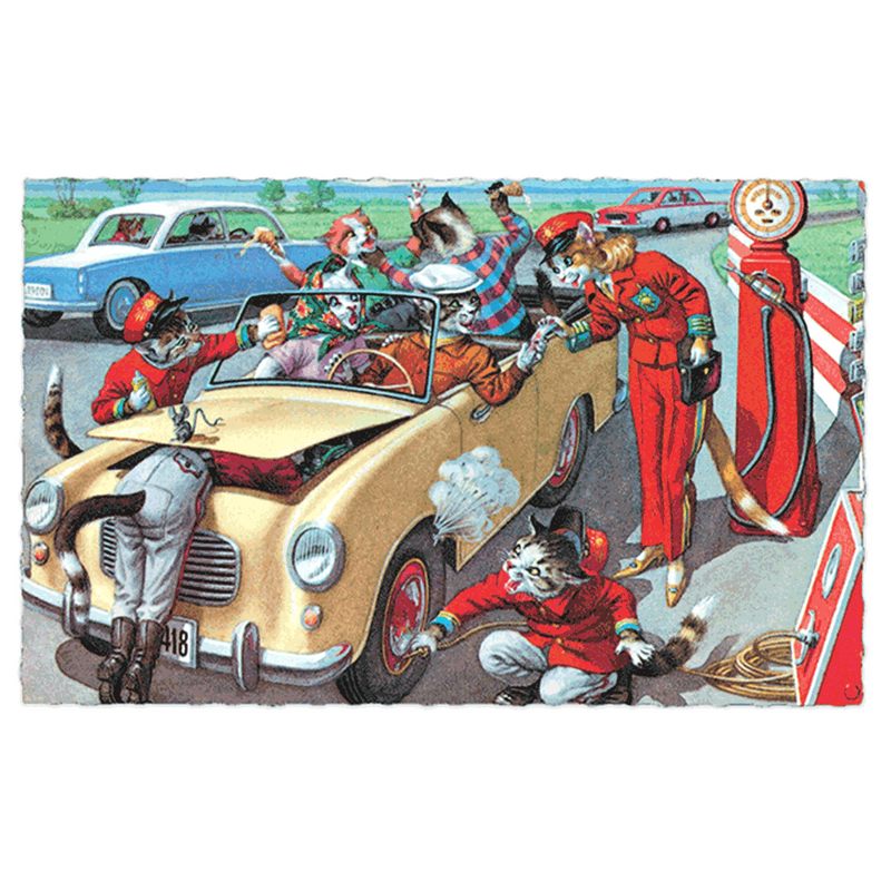 Delightfully Dressed Cats Postcard Box - Everyday Boxed Postcards - Root & Company