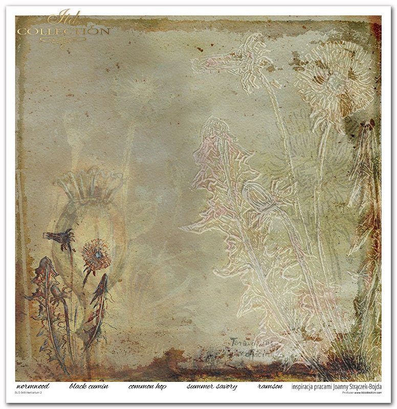 ITD Collection - Herbarium 2 Scrapbooking Papers